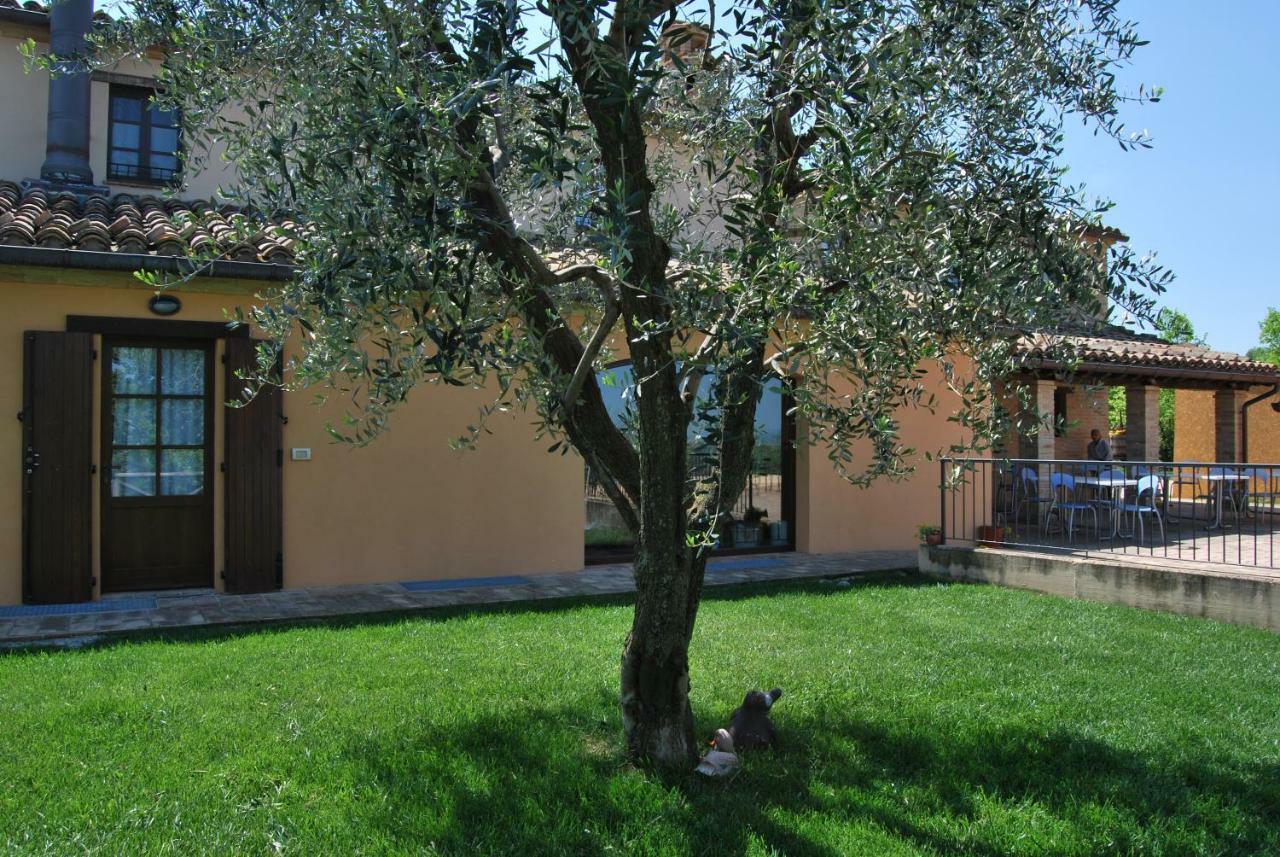 Villa Cadabo Montecarotto Exterior foto